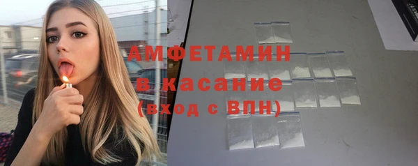 шишки Абаза