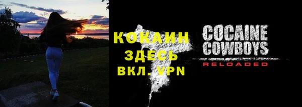шишки Абаза