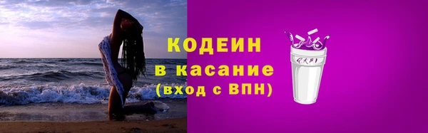 шишки Абаза