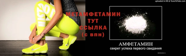шишки Абаза