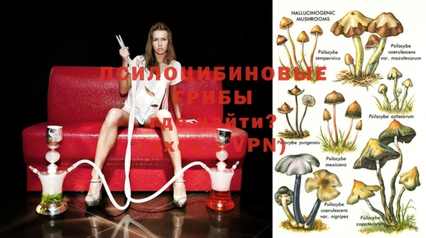 mix Абинск