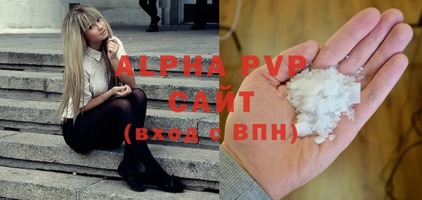 шишки Абаза