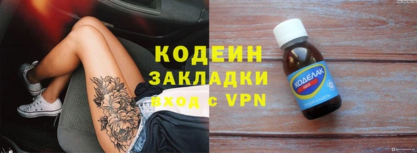 шишки Абаза