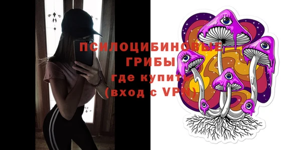 шишки Абаза