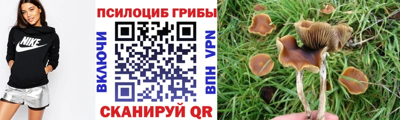 Псилоцибиновые грибы Psilocybine cubensis  где можно купить   Севастополь 